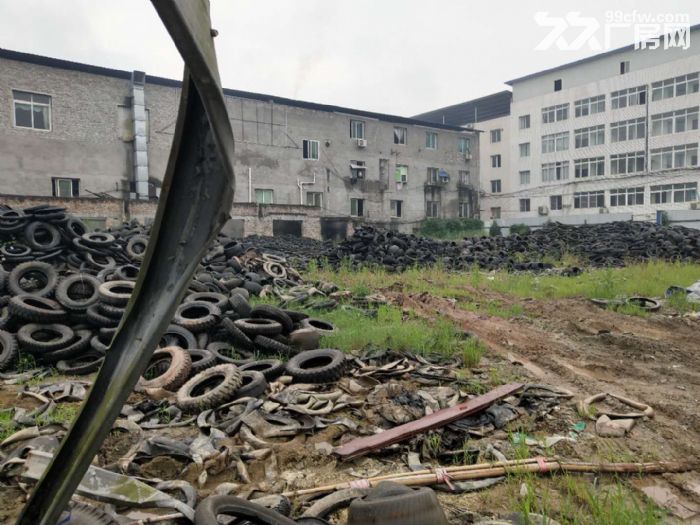 出租巴南区南泉镇附近带场地厂房5000平-图3