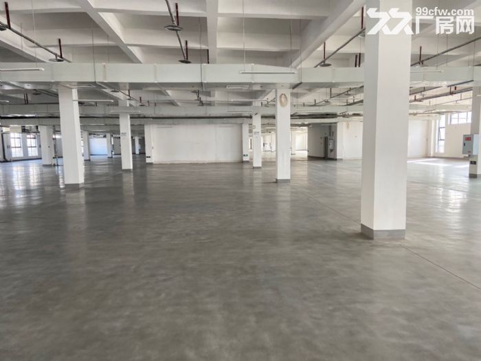 南岸茶园新区20000平米厂房，库房出租-图2