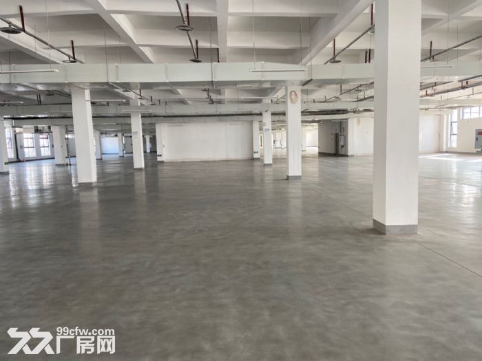 南岸茶园新区20000平米厂房，库房出租-图1