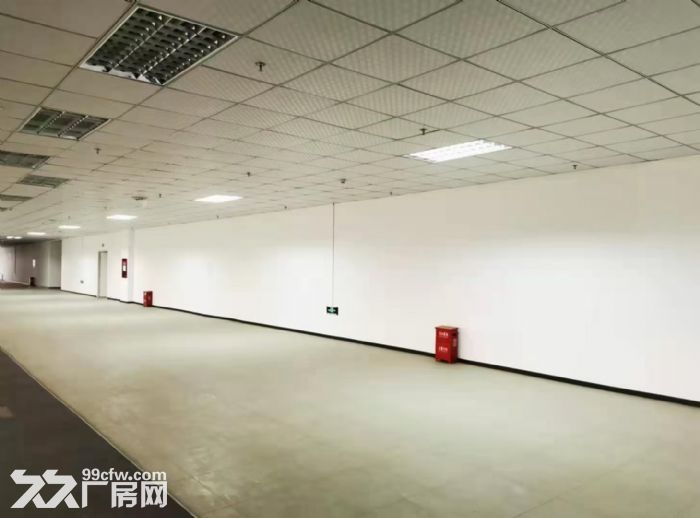 界石工业园区空置厂房出租。-图1