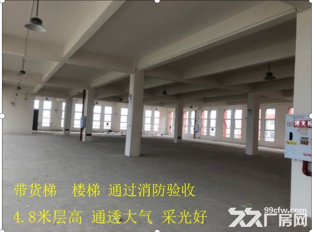 九龙坡西彭 二层宽敞厂房全新出租1289平方-图4