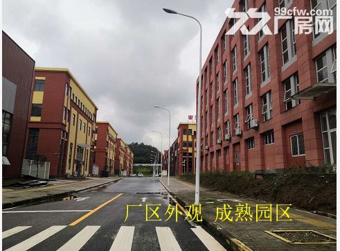 九龙坡西彭 二层宽敞厂房全新出租1289平方-图5