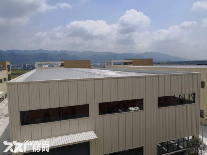 独门独院 11米层高厂房-图3