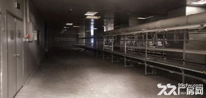 出租江津区德感工业园1500平食品加工厂房-图1