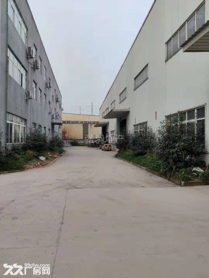 大足龙水工业园 标准钢结构厂房3680平米 出租-图3