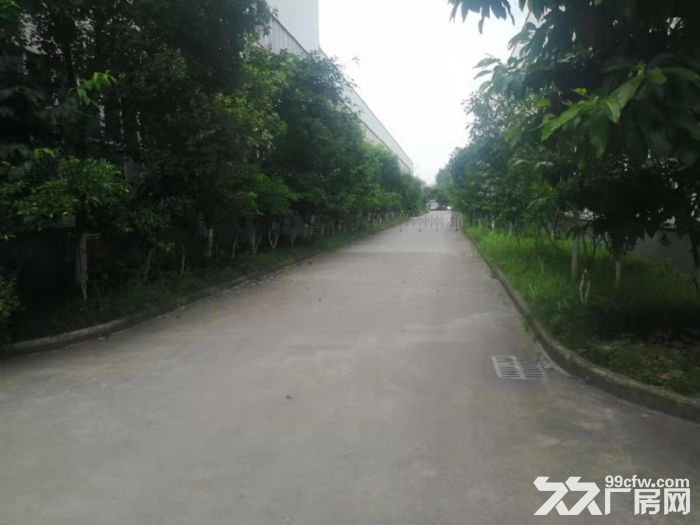 业主直租北碚水土独院厂房9000平方带行车2000起租-图4