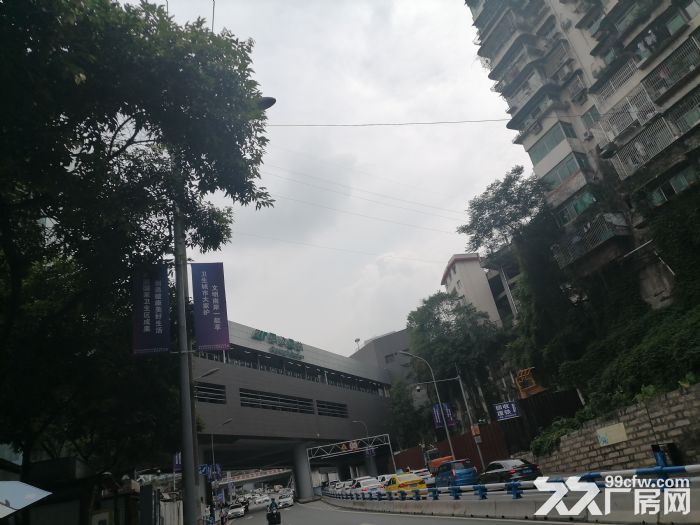 诚意租南岸四公里独栋商业 2700平三层  地段好 整租适合 汽车4s店-图2