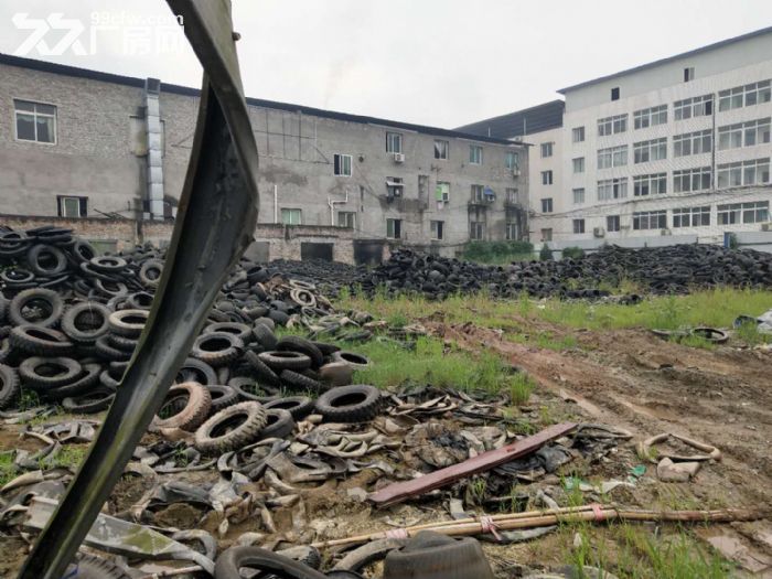 出租巴南区南泉镇附近2000平场地-图1