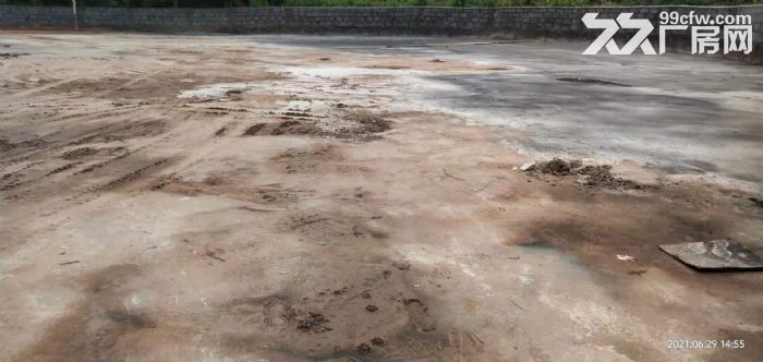 出租江北区寸滩港附近50000平场地-图2