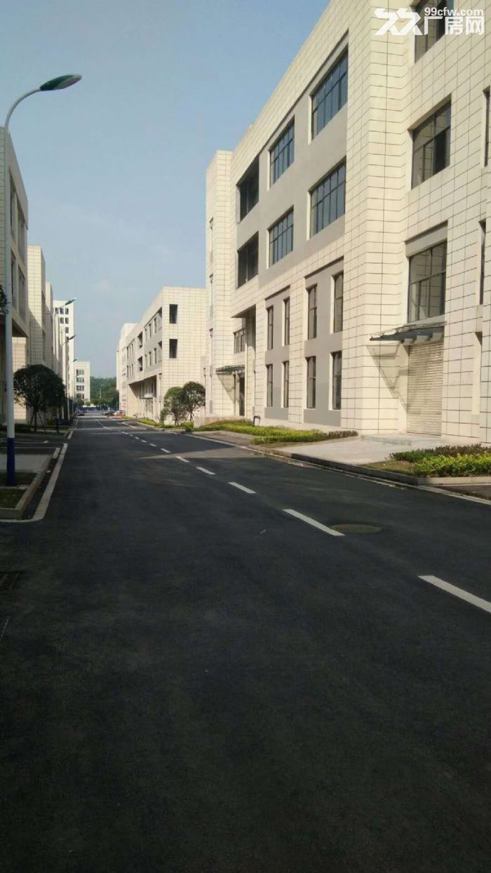 标准厂房写字楼租售(满足不同企业面积需求)-图7