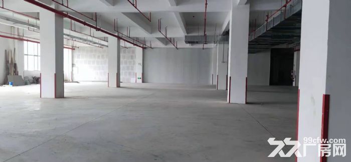 巴南界石单层钢结构厂房出租，空高13米，价格可谈-图3