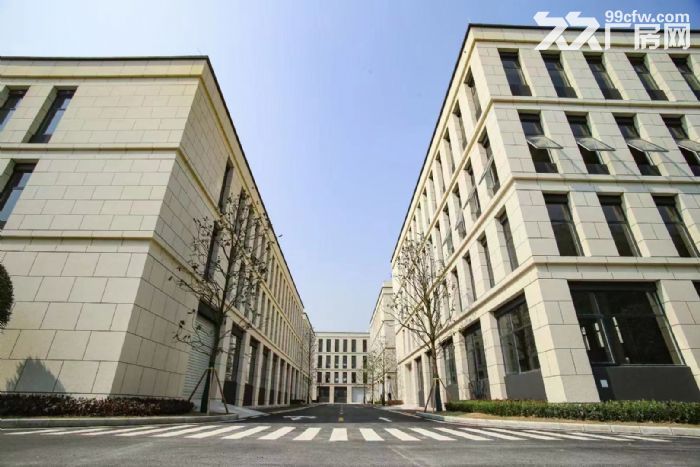 主城区2层半结构独栋标准厂房，可按揭、有产权-图3