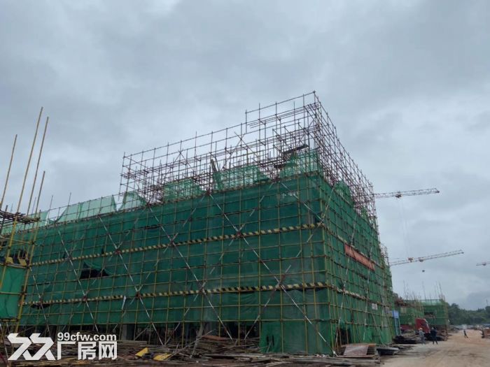 主城区2层半结构独栋标准厂房，可按揭、有产权-图2