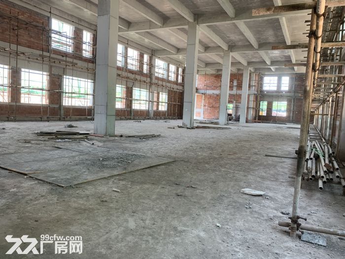 主城区2层半结构独栋标准厂房，可按揭、有产权-图6