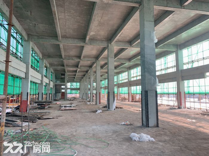 主城区2层半结构独栋标准厂房，可按揭、有产权-图5