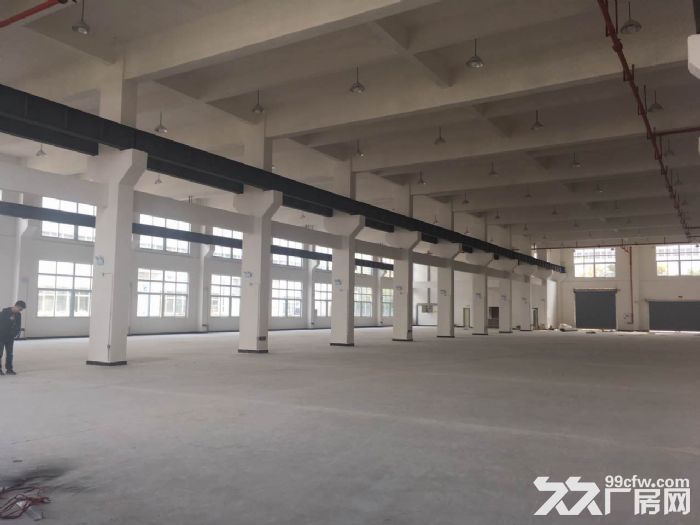 珞璜工业园B区2000方全新标准厂房出租-图3