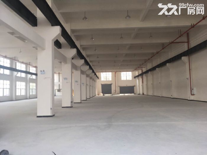 珞璜工业园B区2000方全新标准厂房出租-图2