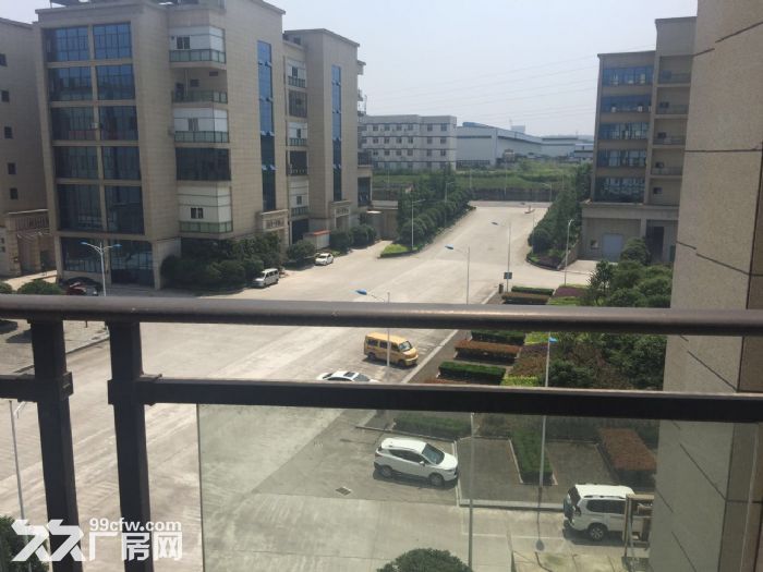江津德感工业园2000方标准食品厂房出租-图4