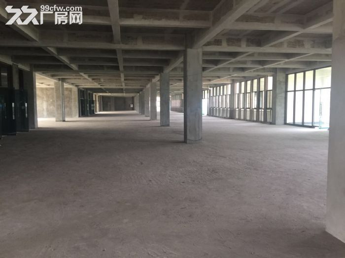 江津德感工业园2000方标准食品厂房出租-图5