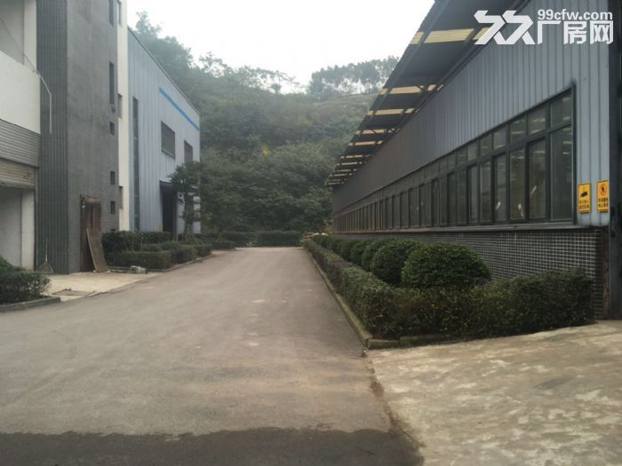 茶园新区机电路2000平标准平层厂房出租-图4