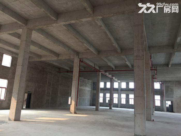 首层8米带露台，3层独栋出售-图5