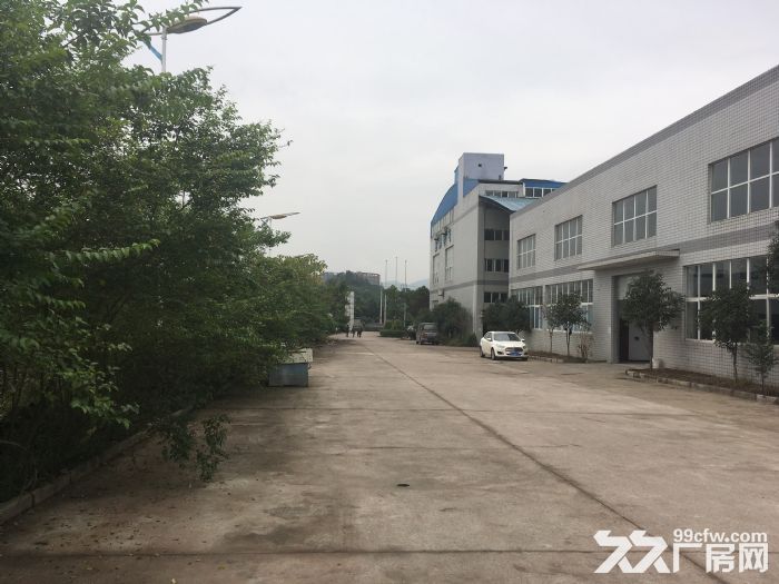 长江工业园纯底层2000方标准厂房出租-图5