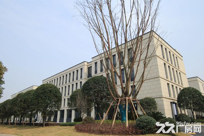 高层高大承重设计 标准独栋厂房 生产研发办公一体-图3