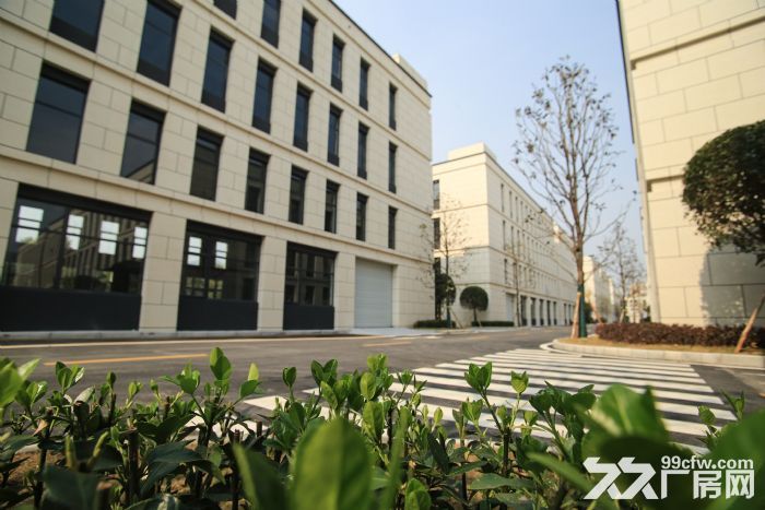 高层高大承重设计 标准独栋厂房 生产研发办公一体-图4