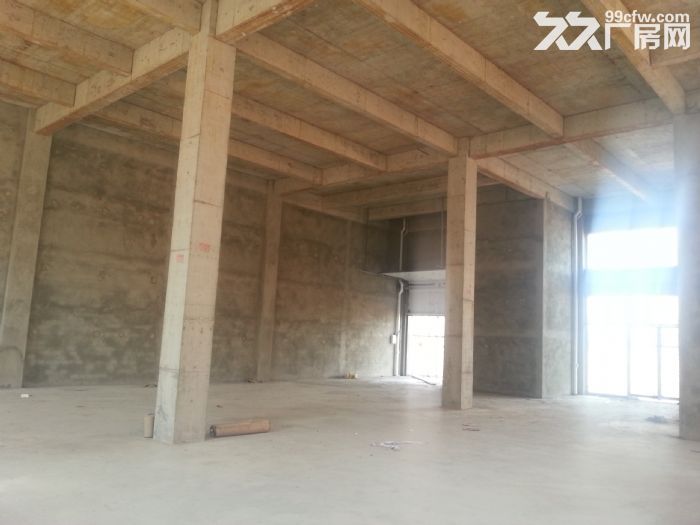 高速口2KM，1500㎡带露台出售-图4