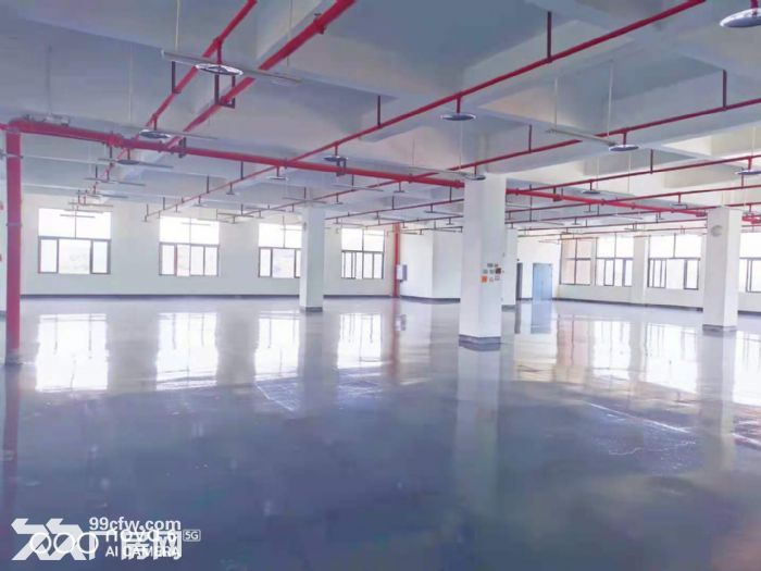 九龙坡生产厂房、联合办公室出租，价格可谈，工位仅需199-图1