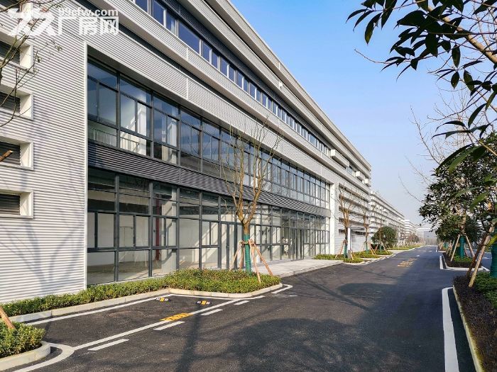 沙坪坝区，高新区 井口 标准单层轻钢结构厂房 出租 1000㎡起-图3