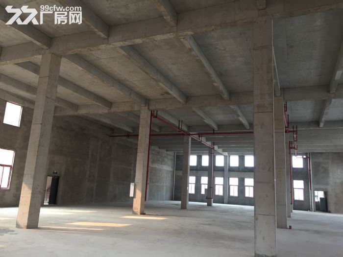 紧邻机场，首付3成起，1500㎡独栋-图4