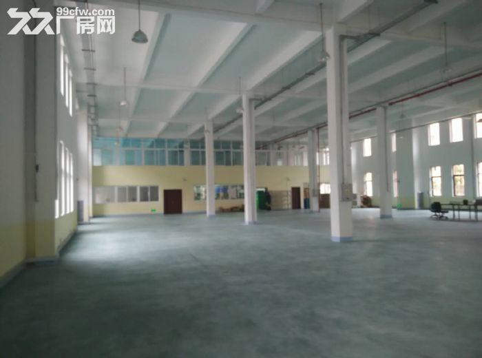 50年产权，首付3成起，三层小独栋租售-图5