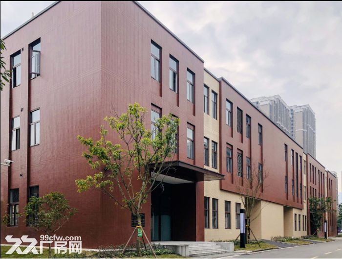 （租售）巴南界石 独栋厂房 面积灵活 1000至5千平 配套齐全-图4