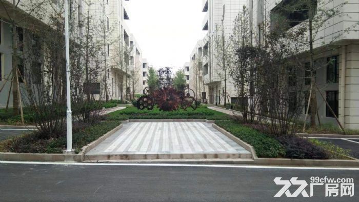 重庆永川标准厂房出租 出售-图1