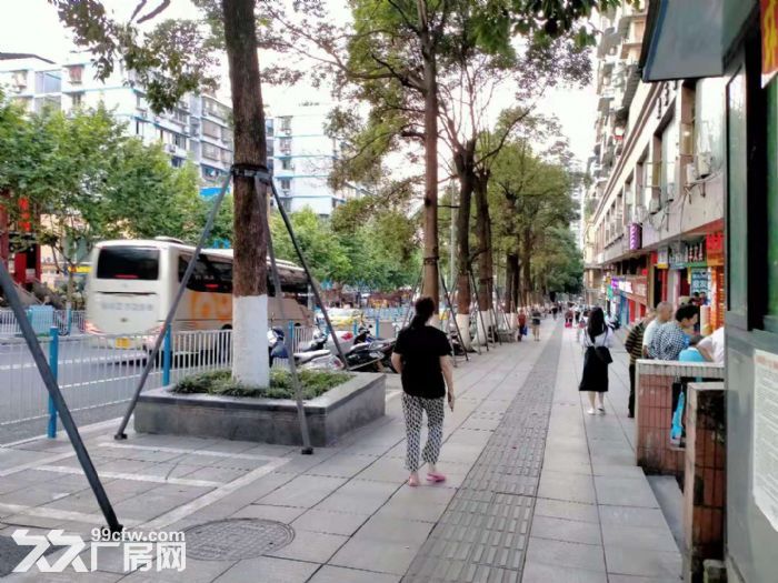 南坪东路永辉对面主干道旁动力电+大广告位门面＋仓库 ＋厂房-图6