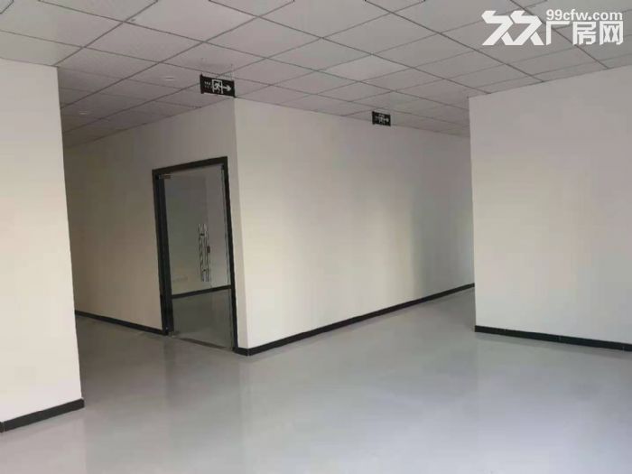园区标准厂房出租可整租可合租-图2