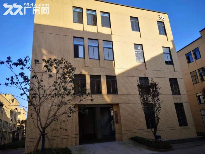 园区标准厂房出租可整租可合租-图1