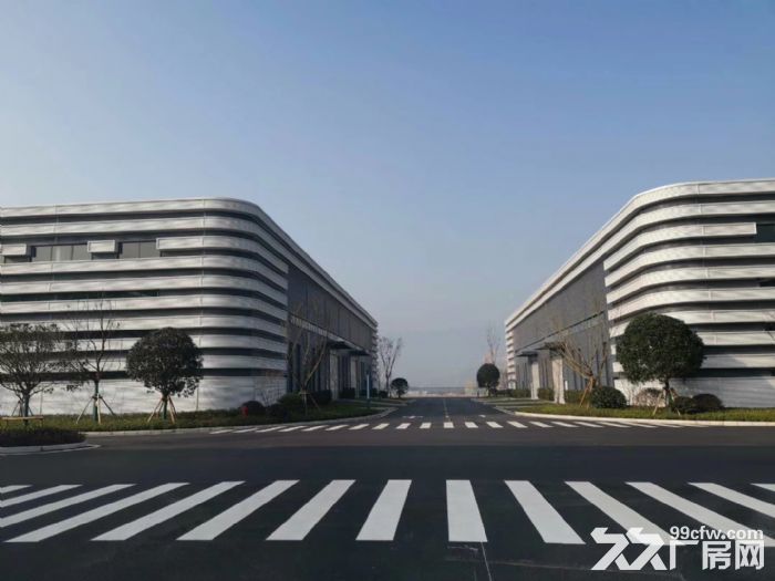 重庆科学城核心区域 优质单层钢构厂房 带行车 1700平-图7