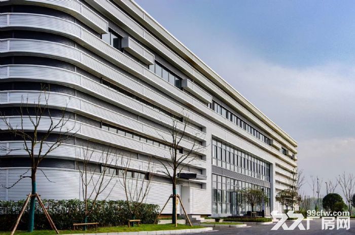 重庆科学城核心区域 优质单层钢构厂房 带行车 1700平-图3