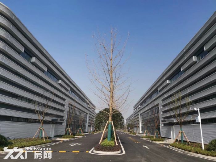 重庆科学城核心区域 优质单层钢构厂房 带行车 1700平-图5