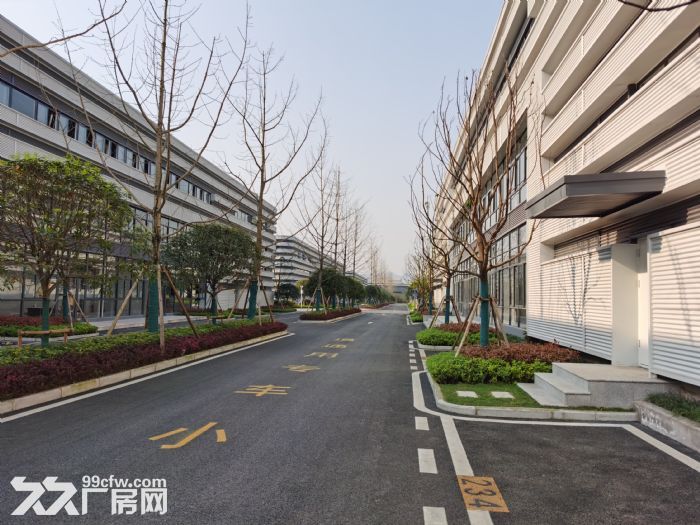 重庆科学城核心区域 优质单层钢构厂房 带行车 1700平-图8