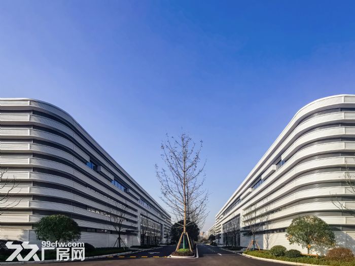 沙坪坝、北碚13米单层钢构厂房出租-图2