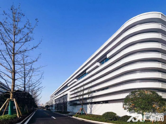 出租 主城 核心区域 优质单层钢构厂房 带行车 1500平-图7