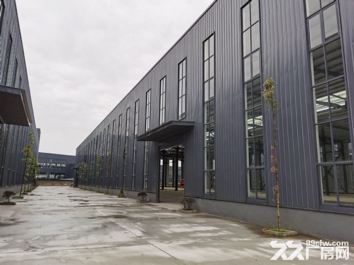 租售单层12米带庭院独栋厂房 环评消防已过-图2