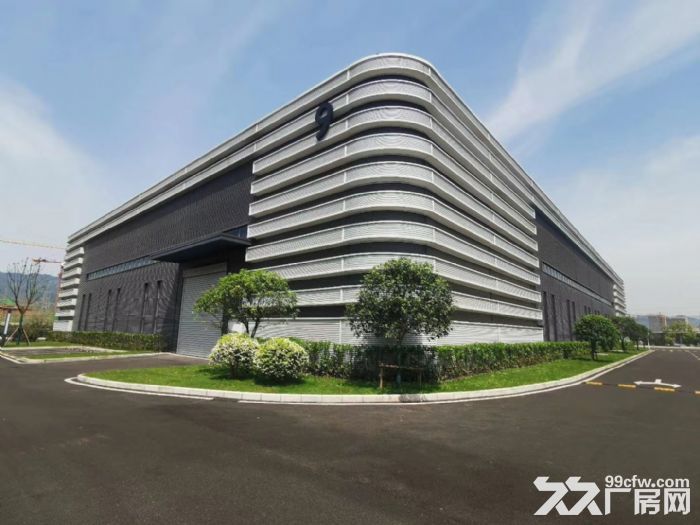 租售单层12米带庭院独栋厂房 环评消防已过-图3