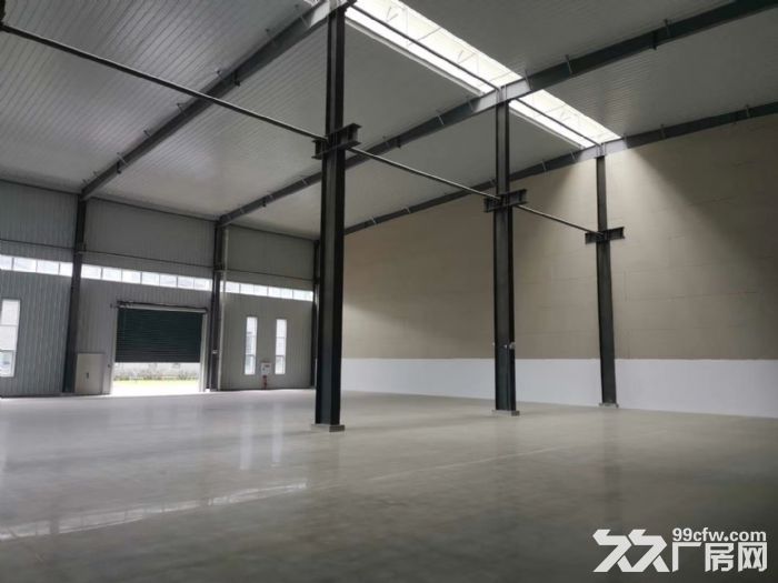 租售单层12米带庭院独栋厂房 环评消防已过-图5