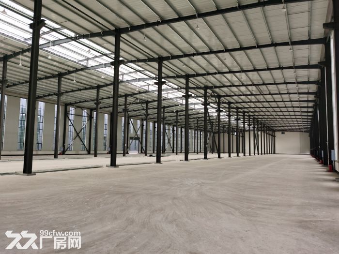租售单层12米带庭院独栋厂房 环评消防已过-图6
