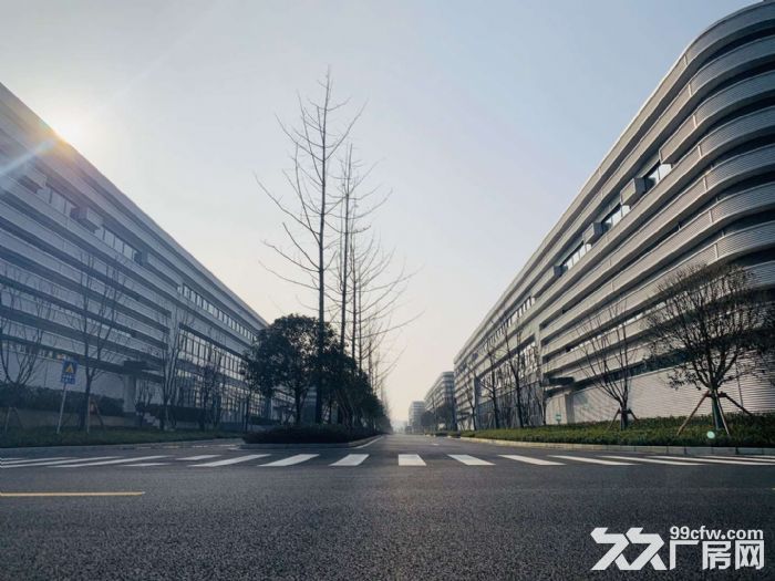 主城区域 大学城旁 单层钢构 带行车 标准厂房 出租 中介勿扰-图5