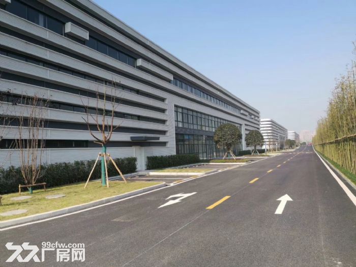 出租 单层钢构 带行车 标准厂房  环评已过-图7